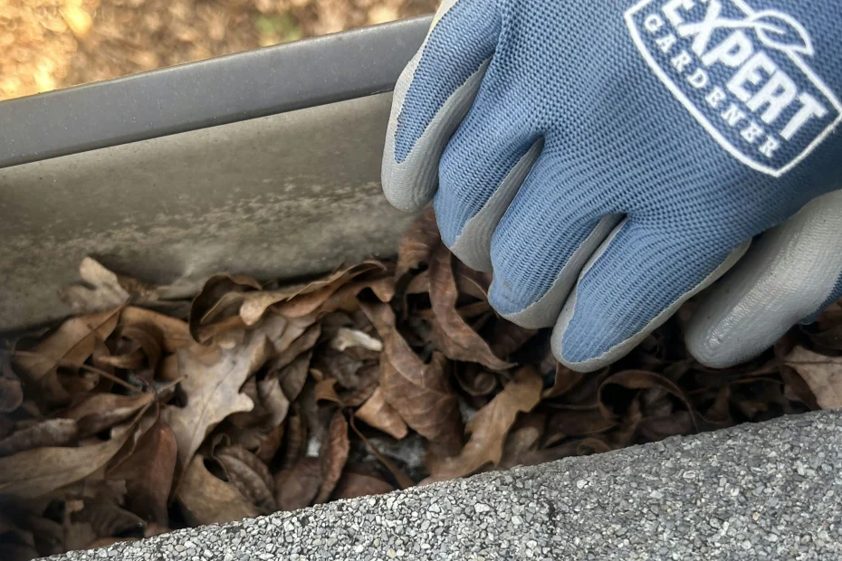 Wauwatosa Gutter Cleaning