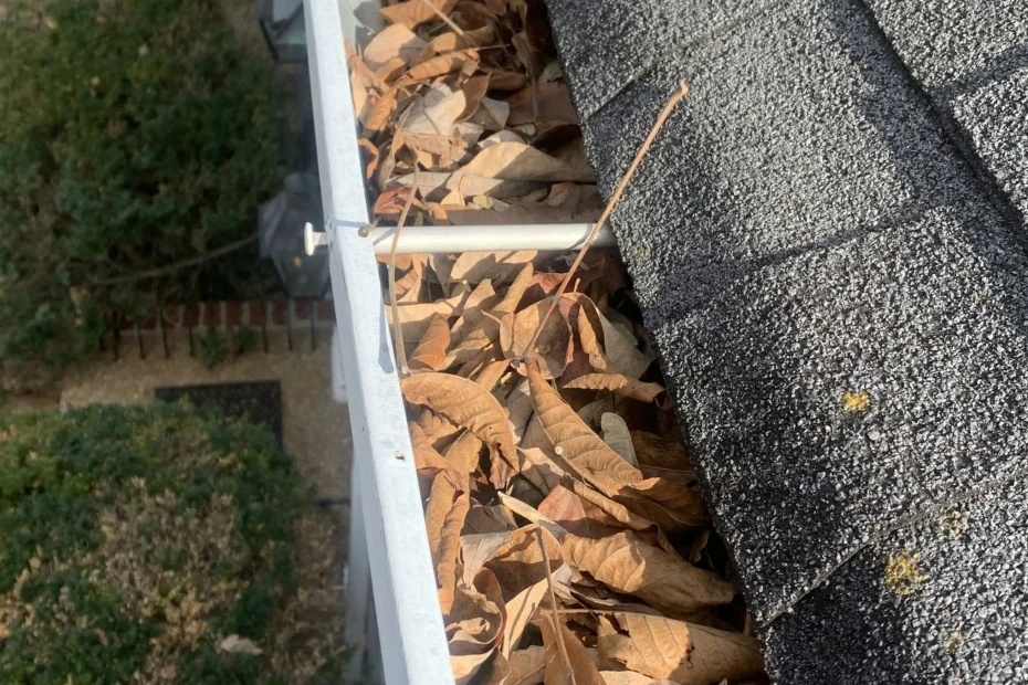Wauwatosa Gutter Cleaning